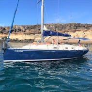 Gita in barca a vela da Puerto Colón con bagno in mare e osservazione della fauna selvatica con Tenerife Sailing Charters.
