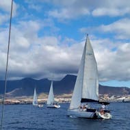 A private sailing trip in Costa Adeje with whale watching navigates with Tenerife Sailing Charters.