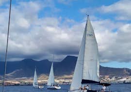 Private Segeltour in Costa Adeje mit Walbeobachtung (9 Pax) mit Tenerife Sailing Charters Eine private Segeltour in Costa Adeje mit Walbeobachtung findet mit Tenerife Sailing Charters statt.