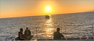 Sunset Catamaran Trip In Adeje With Dolphin Whale Watching From 49 Sunset Catamaran Trip In Adeje With Dolphin Whale Watching From 49