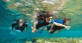 A group of children is exploring the Mediterranean seabed while Snorkeling near Cannes with the Dive Centre La Rague.