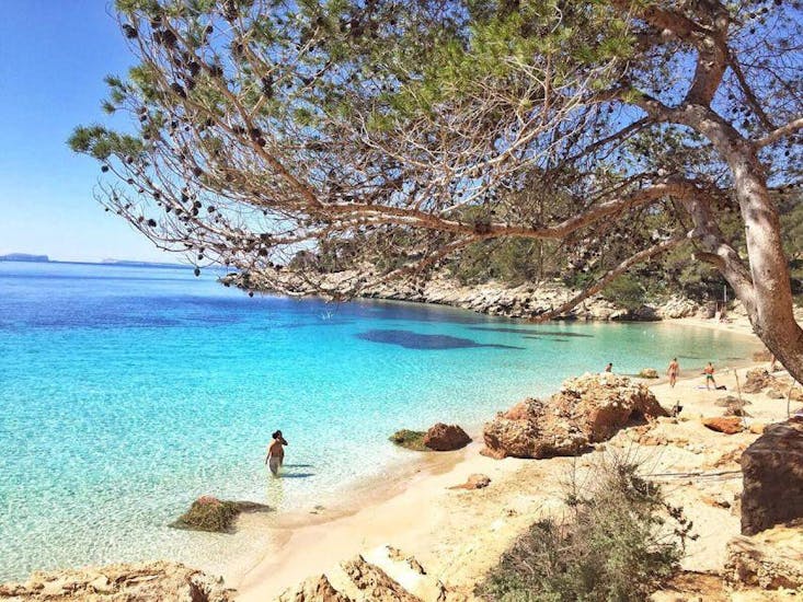 Een afbeelding van het prachtige strand van Cala Salada, waar je kunt gaan zwemmen tijdens de catamarantocht naar Cala Salada met paella en snorkelen door Ibiza Boat Cruises.