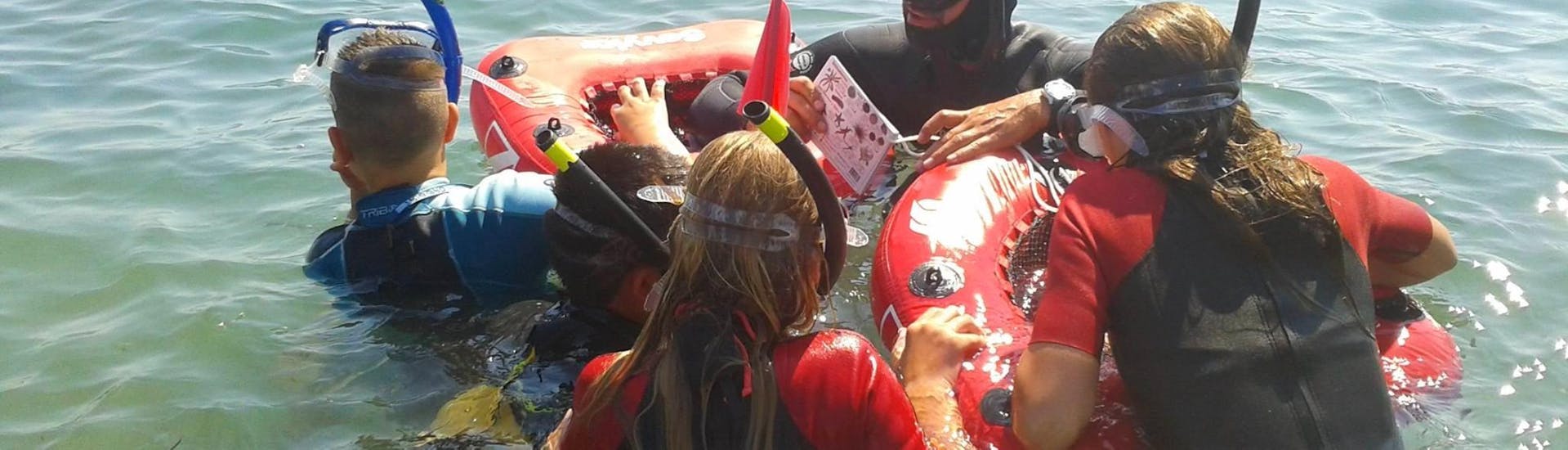L'istruttore spiega ai bambini cosa vedranno durante lo snorkeling a Cap d'Antibes vicino a Nizza con BeFree2Dive.