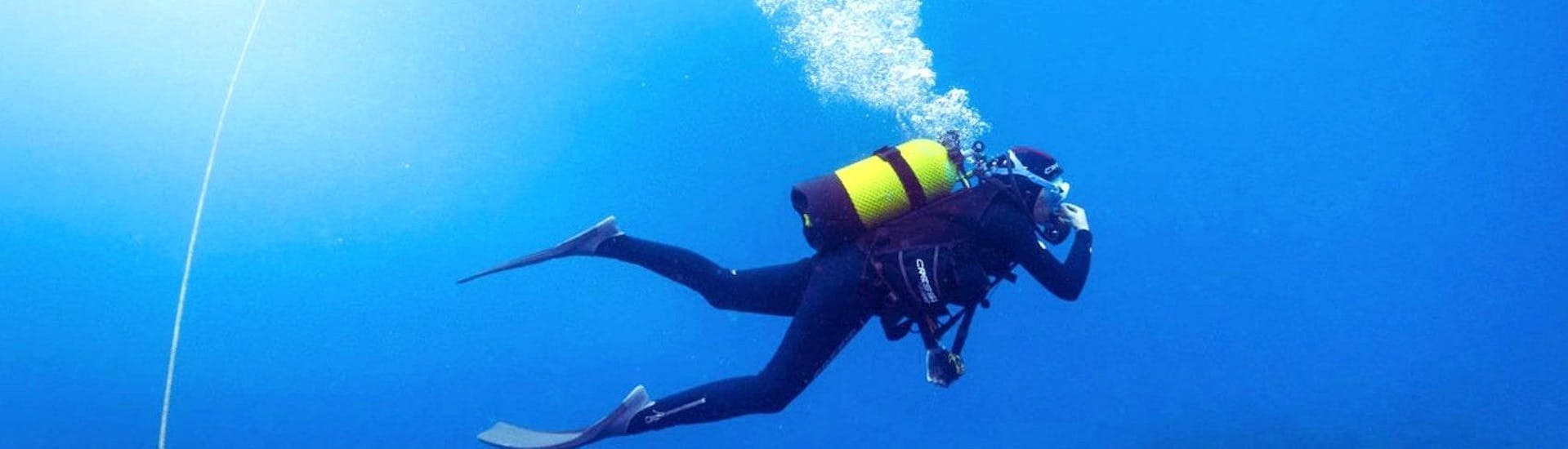 Ein Taucher taucht in völliger Eigenständigkeit dank seines SSI Scuba Diver Kurses in Cap d'Antibes für Anfänger mit BeFree2Dive.