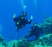 Zwei Taucher tauchen um ein Wrack während ihres SSI Open Water Diver Kurses in Cap d'Antibes für Anfänger mit BeFree2Dive.