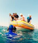 Leute machen eine Bootstour nach Antibes mit Schnorcheln und Wildtierbeobachtung mit BeFree2Dive.