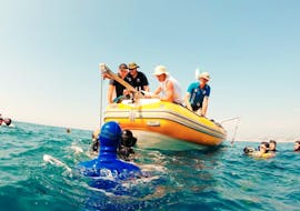 People are doing a Boat Trip to Antibes with Snorkeling & Wildlife Watching with BeFree2Dive Villeneuve-Loubet.