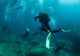 Guided Boat Dives from Paleokastritsa for Certified Divers from Achilleon Diving Center Corfu Two divers are deep underwater during the Guided Boat Dives from Paleokastritsa for Certified Divers with Achilleon Diving Center Corfu.