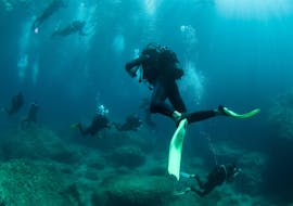 Due subacquei sono in profondità durante le immersioni guidate in barca da Paleokastritsa per subacquei certificati con l'Achilleon Diving Center Corfù.