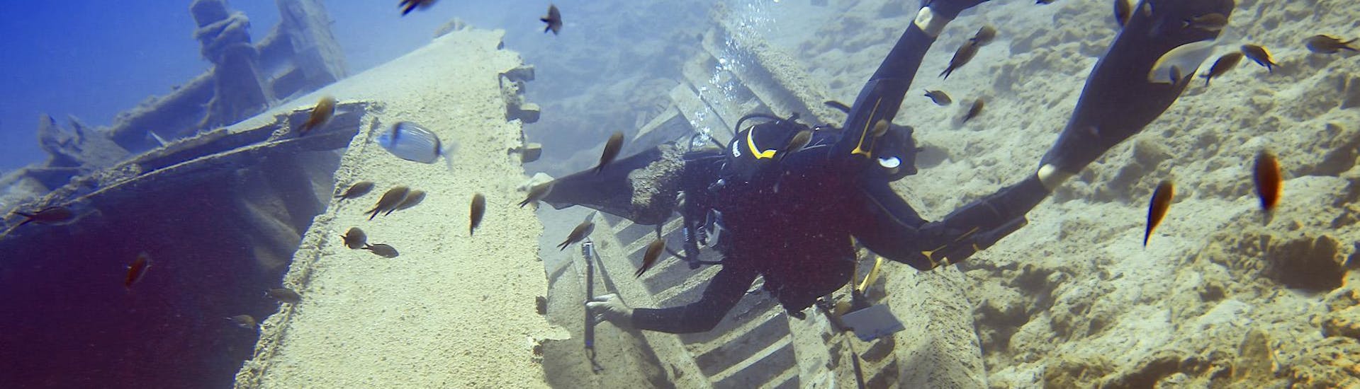 guided-dives-around-agios-nikolaos-bay-for-certified-divers-pelagos-dive-center-crete-hero