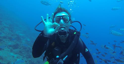 Guided Dives around Agios Nikolaos Bay for Certified Divers from Pelagos Dive Center Crete A woman goes scuba diving during a guided dive for certified divers around Agios Nikolaos with Pelagos Dive Center.
