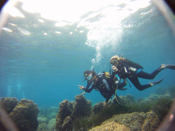 Trial Scuba Diving in Nice - Discovery Package (2 dives).