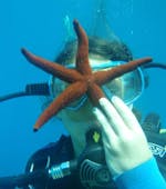 A woman is encountering a starfish during her Trial Scuba Diving in Nice - 3 Dive Discovery Package with Le Poséidon.