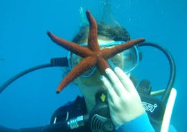 A woman is encountering a starfish during her Trial Scuba Diving in Nice - 3 Dive Discovery Package with Le Poséidon. 