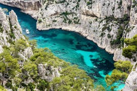 Family doing a Boat Trip to the Calanques from Marseille - Grand Tour with Compagnie Maritime Calanques Château If.