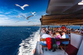 Sea gulls are flying next to the boat Tajana during the boat trip to Rab & Pag from Krk.