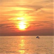 Een dolfijn kan worden gespot tijdens een dolfijn-observatie boottocht bij zonsondergang met Gas Boat Fazana.