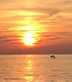 Se puede ver un delfín durante un paseo en barco en el mar Adriático con Gas Boat Fazana.