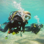 Una donna si sta godendo la sua immersione di prova a Spalato con il Blu diving center.
