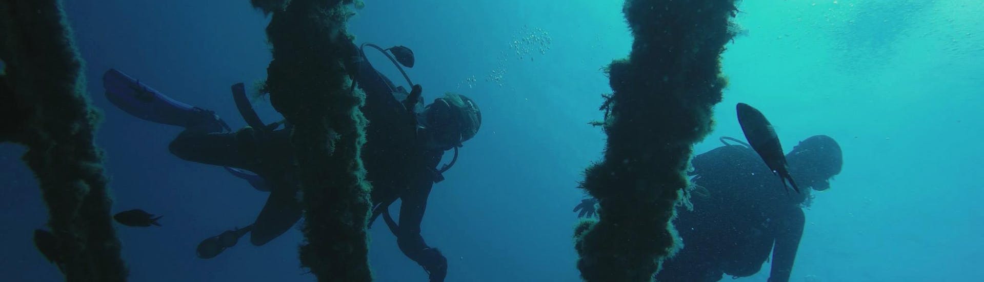 Due persone nuotano sopra un relitto durante un'escursione subacquea nei pressi di Spalato con Blu diving center..