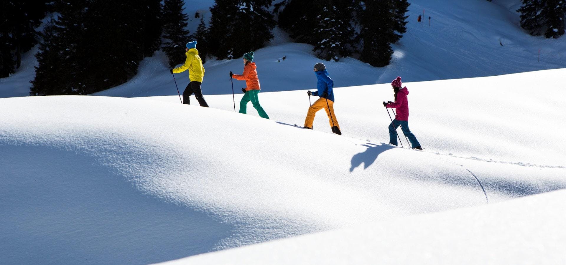 Snowshoeing Private - Silvretta Montafon - All Levels from Skischule Gaschurn-Partenen.