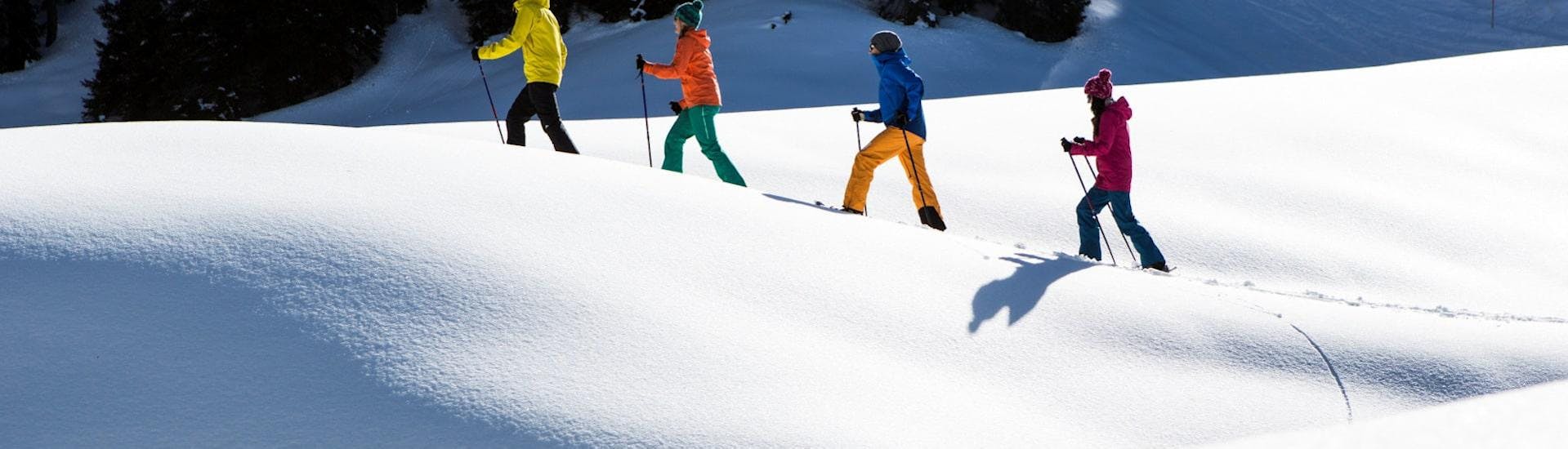 Snowshoeing Private - Silvretta Montafon - All Levels with Skischule Gaschurn-Partenen - Hero image