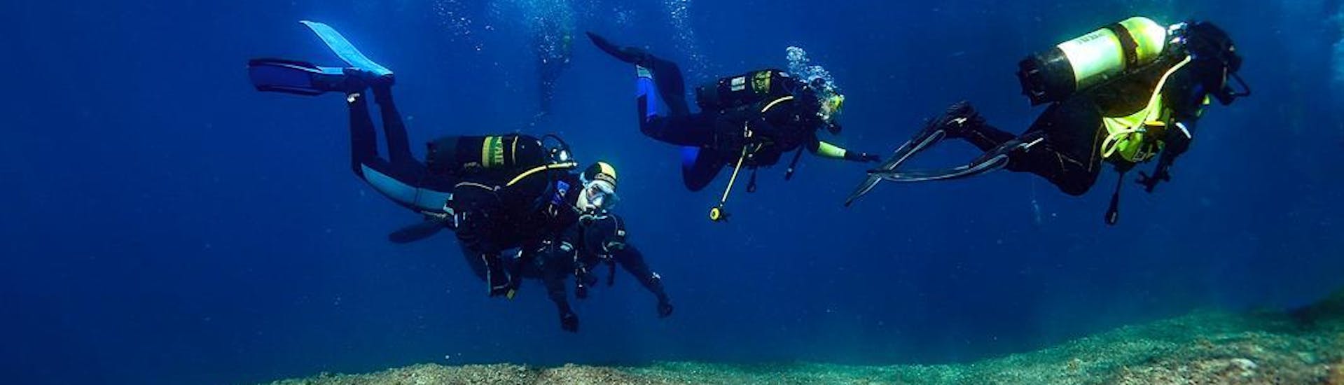 A group is doing scuba diving with Hippocampus Diving Center in Pula. 