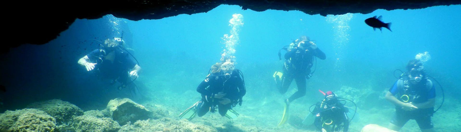 Un groupe de plongeurs s'approche en nageant d'une grotte lors de leur formation Open Water Diver pour débutants à Corfou avec Dive Easy.