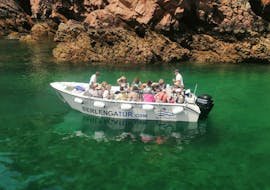 Bootstour nach Berlenga mit Höhlenfahrt & geführter Tour mit Berlengatur Peniche.