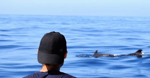 Boottocht van Calheta met zwemmen & wild spotten met On Tales Madeira Boottocht van Calheta met zwemmen & wild spotten met On Tales Madeira.