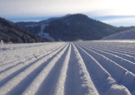 Cours particulier de ski Adultes pour Tous niveaux avec Schneesportschule SnowPlus Balderschwang