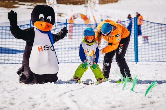 Kids Ski Lessons (4-12 y.) for All Levels - Half Day