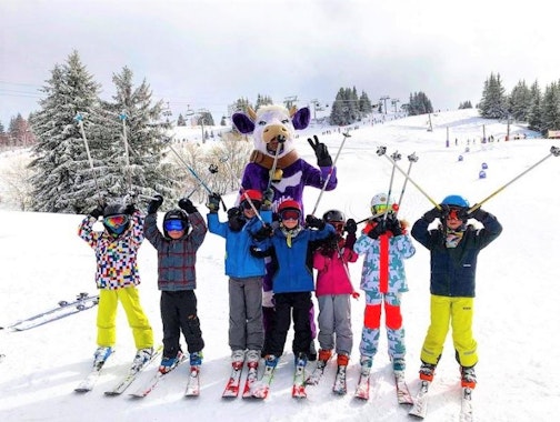 Semi-Private Kids Ski Lessons (6-16 y.) for All Levels