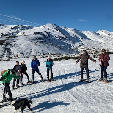 Snowshoeing Tour