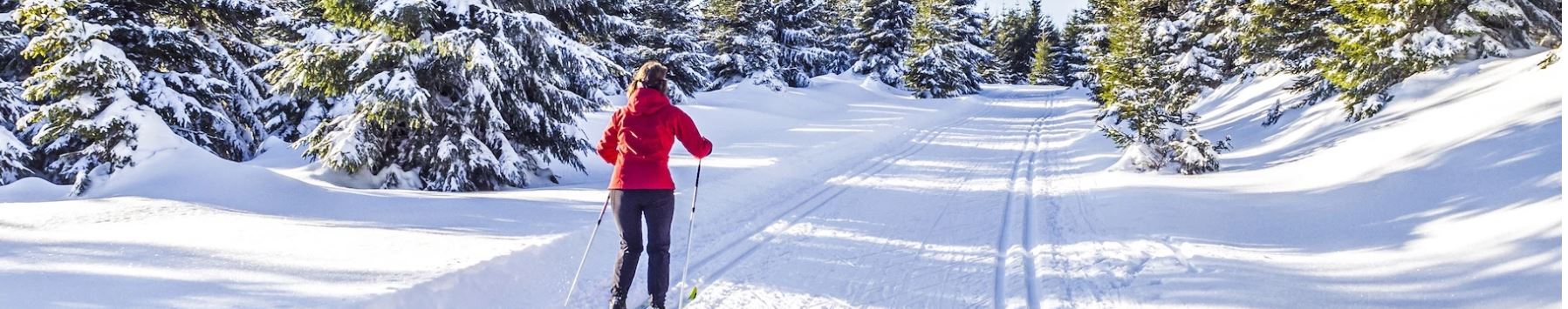 Private Cross Country Skiing Lessons for All Levels Die Skischule.at