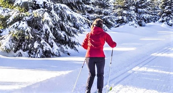  Private Cross Country Skiing Lessons for All Levels