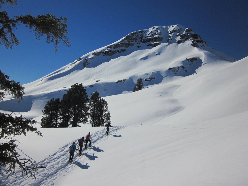 A group of hikers is exploring the untouched snowy landscape during the Full-Day Snowshoeing Tour at Grünenbergpass with Outdoor Switzerland.