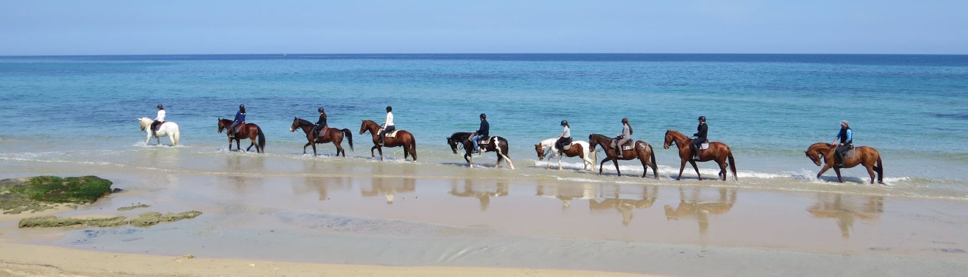 Gruppo di cavalli al passo sulla battigia di una spiaggia durante la Passeggiata a Cavallo nel Parco Naturale delle Dune Costiere con Pugliamare.