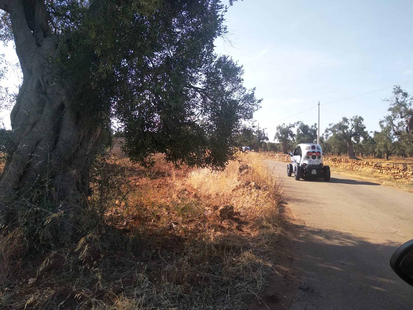 Balade en Twizy dans la Vallée d'Itria avec Pugliamare.