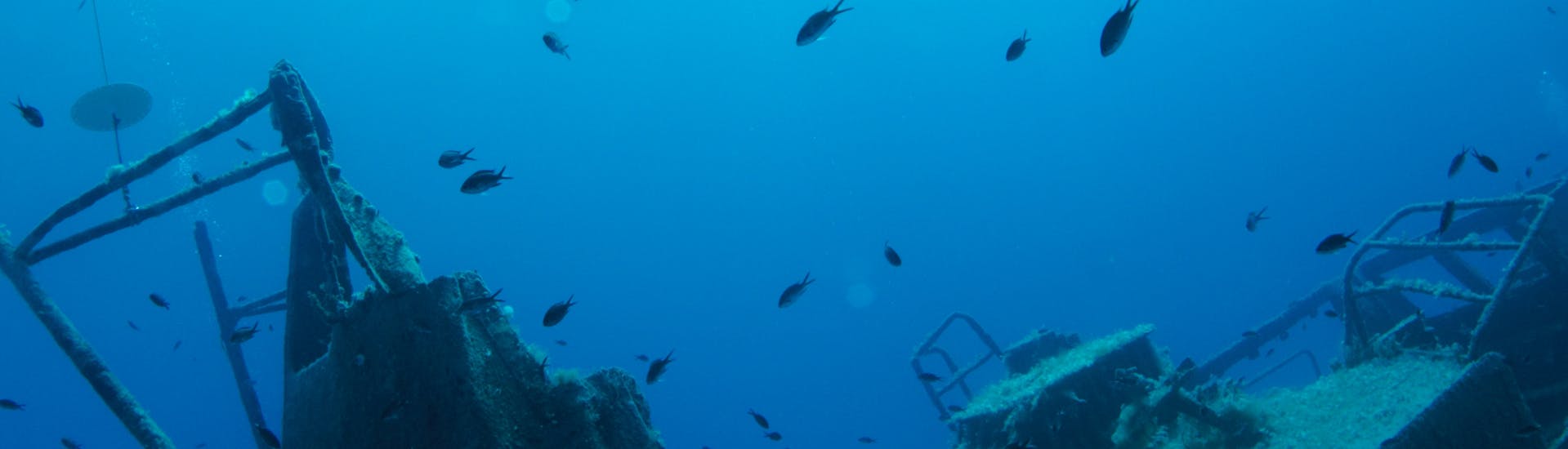 Tauchkurs in Qala mit Blue Waters Dive Cove Gozo - Hero image
