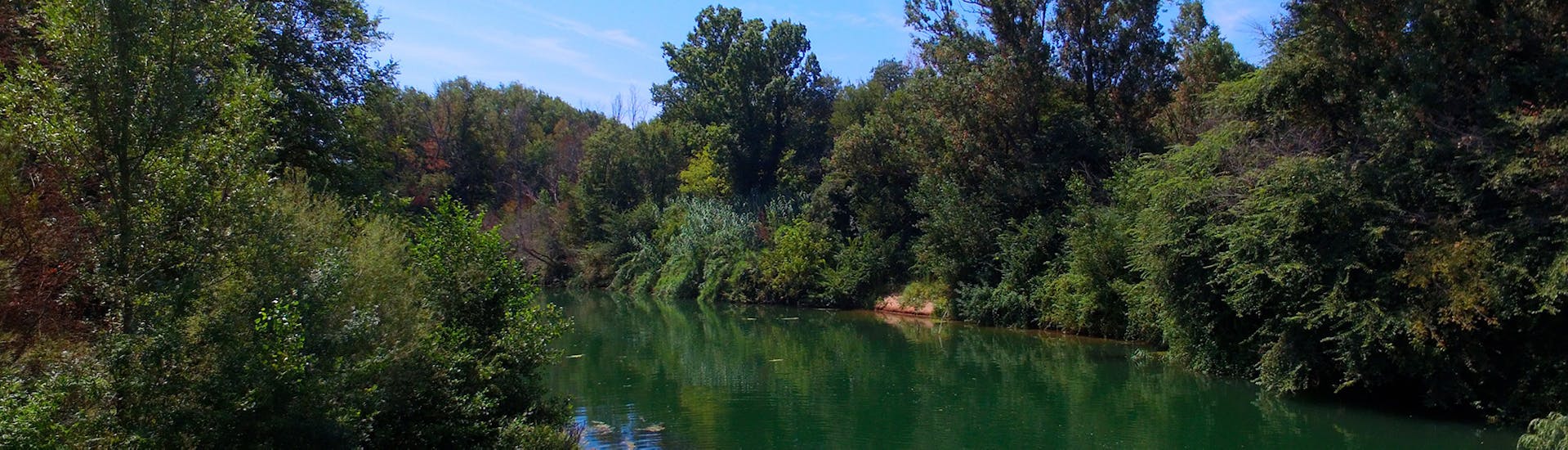 Landscape of the Argens river where Kayak Paddle Fréjus offer their electric boat rental.
