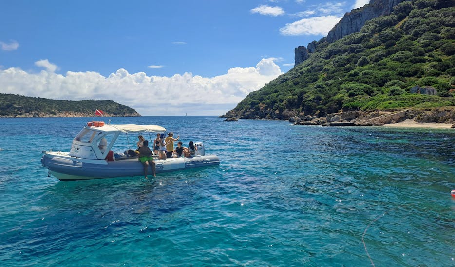 Blick auf der Bootstour nach Figarolo und Capo Figari mit Delfinbeobachtung und Schnorcheln mit Blue Way - Sea Experiences aus dem Wasser auftaucht.