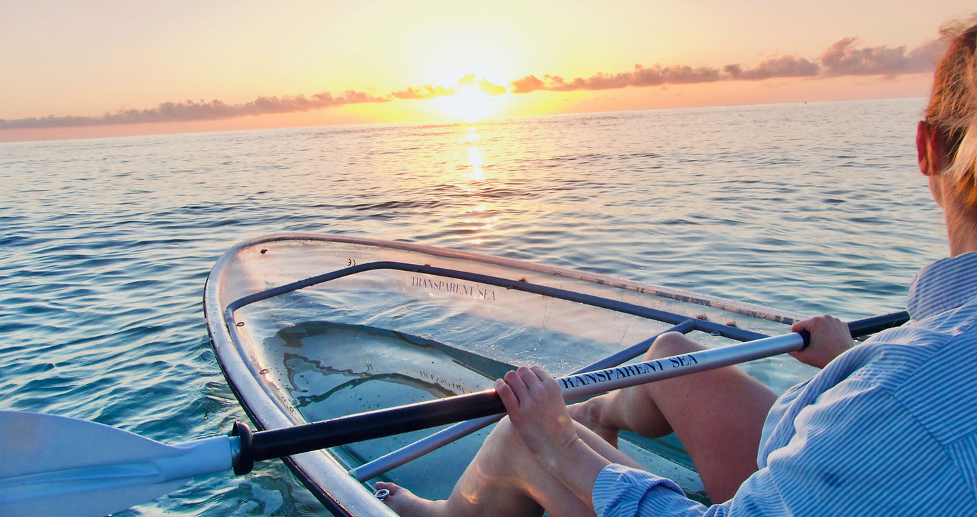 Vue lors de la Location de kayak de mer au Lavandou avec Transparent'Sea au Lavandou.