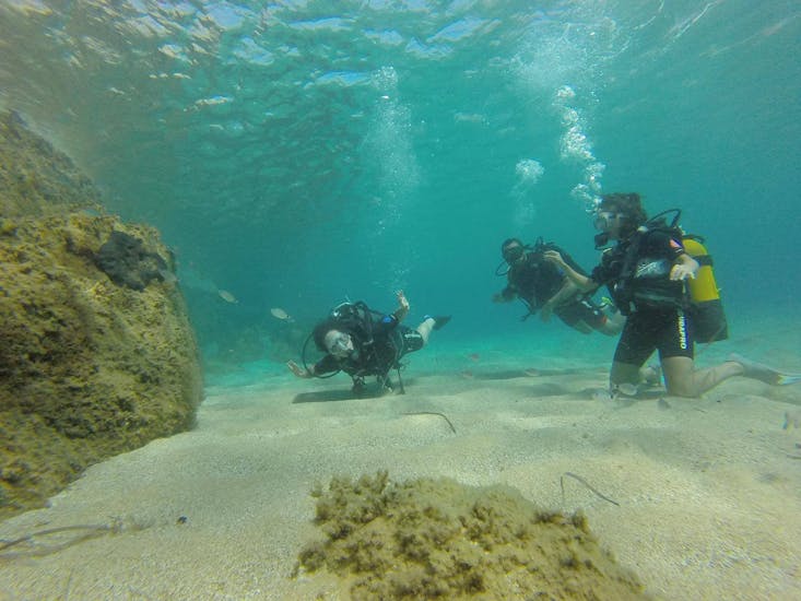 Group under water diving during the PADI Scuba Diver for Beginners at Lia Beach in Mykonos with GoDive Mykonos.