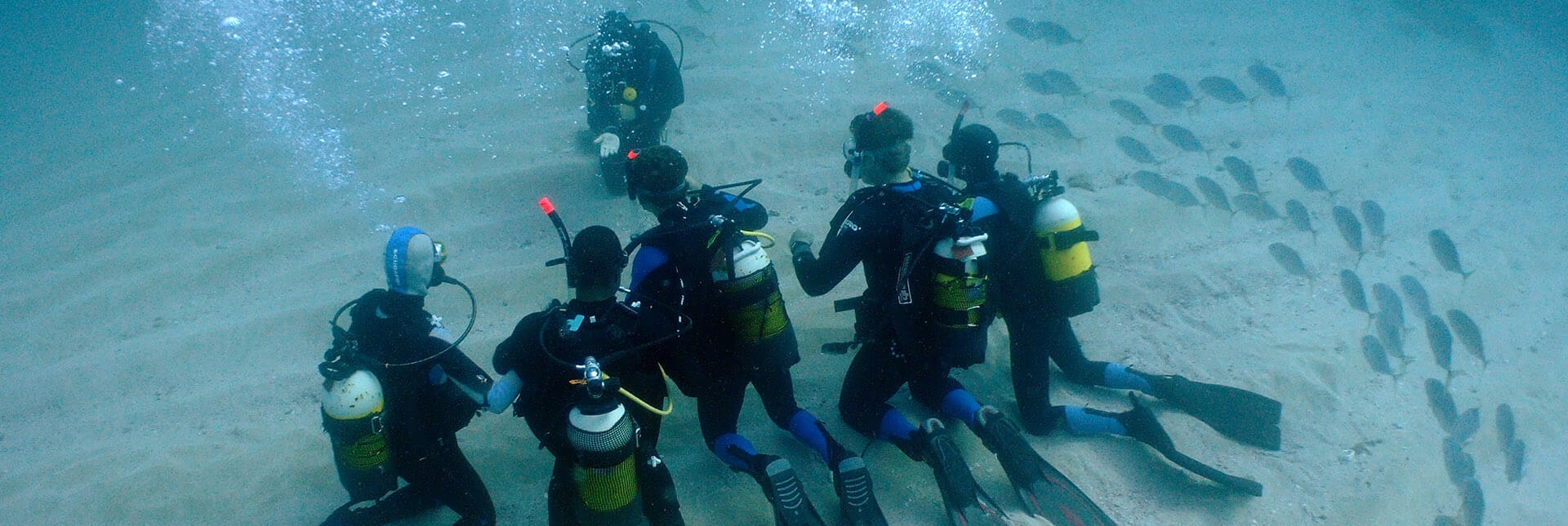 A group diving during a Trial Scuba Diving in l'Atmella de Mar with Nautic Parc Costa Daurada.