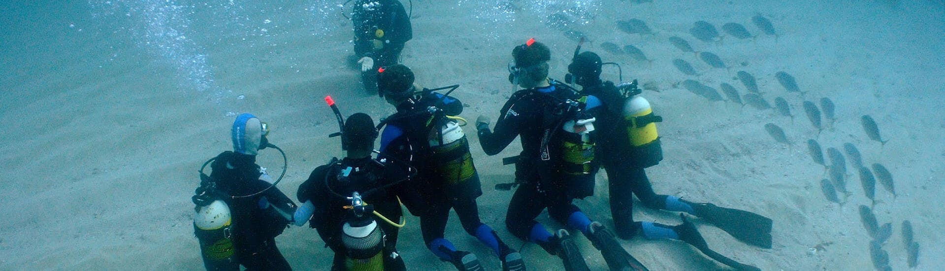 Een groep duikers tijdens een proefduik in l'Atmella de Mar met Nautic Parc Costa Daurada.