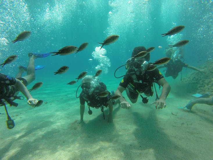 A group of friends diving in Mykonos with a school of fish during the Open Water Diver for Beginners at Lia Beach in Mykonos with GoDive Mykonos.