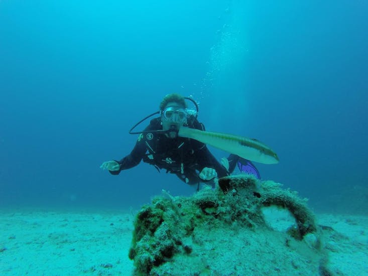 A participant during the PADI Advanced Open Water Course at Lia Beach for Certified Divers with GoDive Mykonos seeing a fish under water.