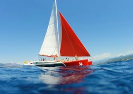 Des personnes participent à une Balade en catamaran dans la baie d'Ajaccio avec Snorkeling avec Voglia di Mare. 