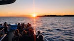 Les gens sur le bateau lorz de la Balade en bateau au coucher du soleil à Benagil avec observation des dauphins avec 5emotions Algarve - Portimão.